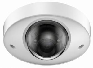 4MP Dual Light Fixed Wedge Dome
